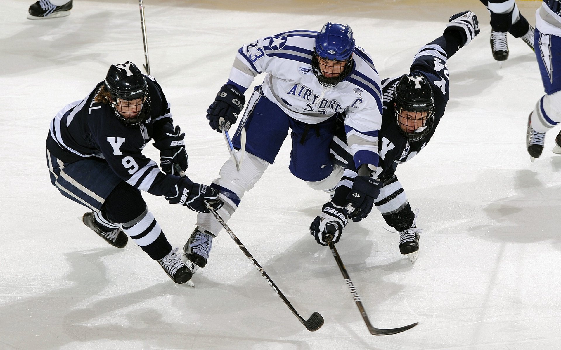 森林狼强势拿下骑士,文班亚马让比赛提前失去悬念